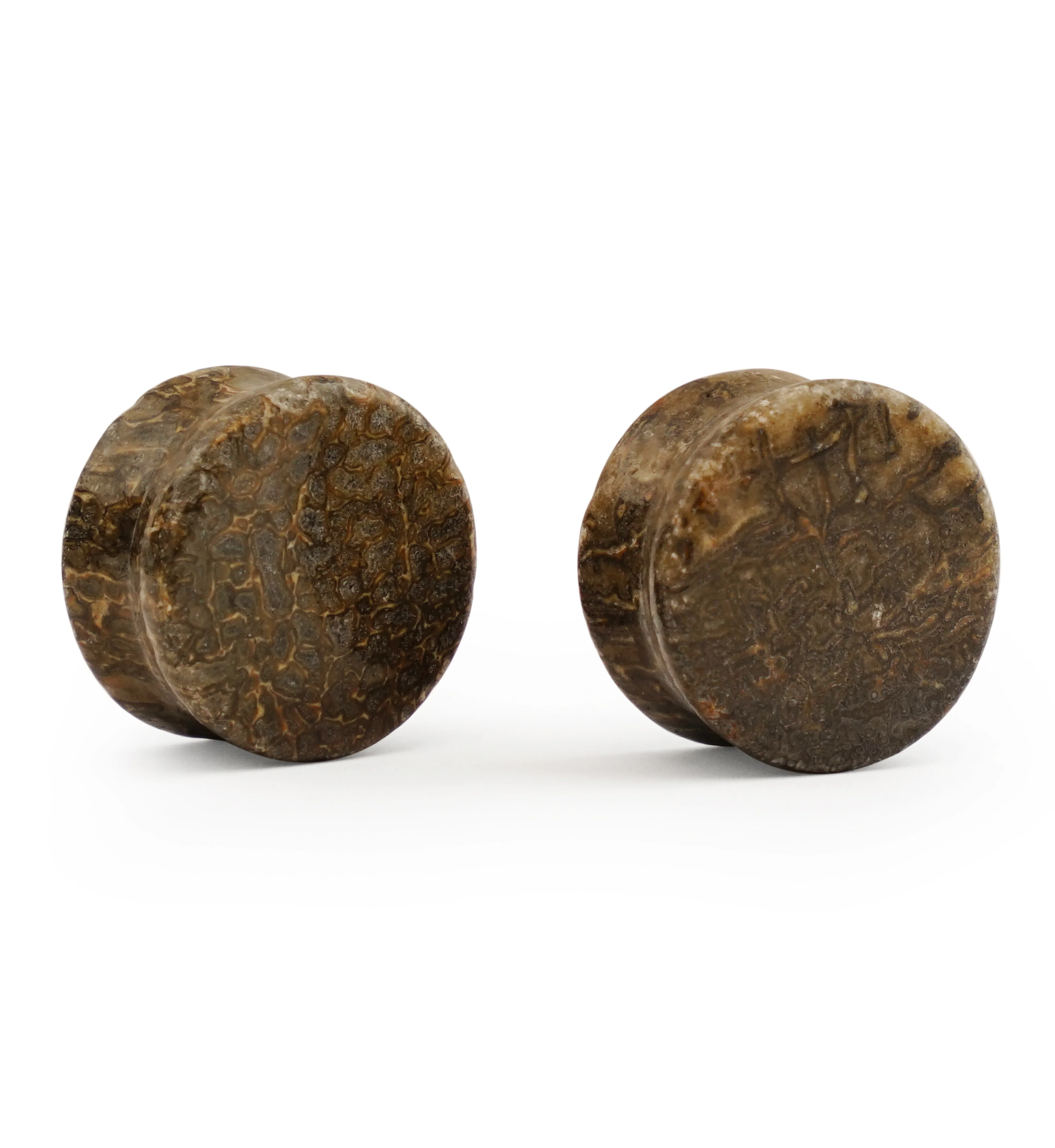 Fossilized Dinosaur Bone Plugs 3-4" (19mm) Version 3 - Image 2
