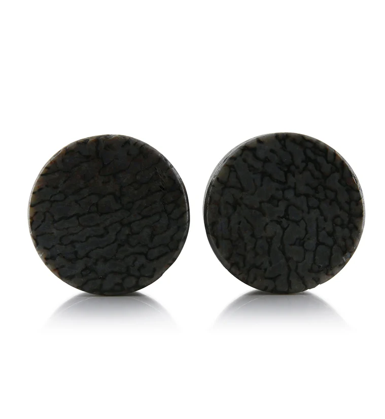 Fossilized Dinosaur Bone Plugs 3-4" (19mm) Version 1