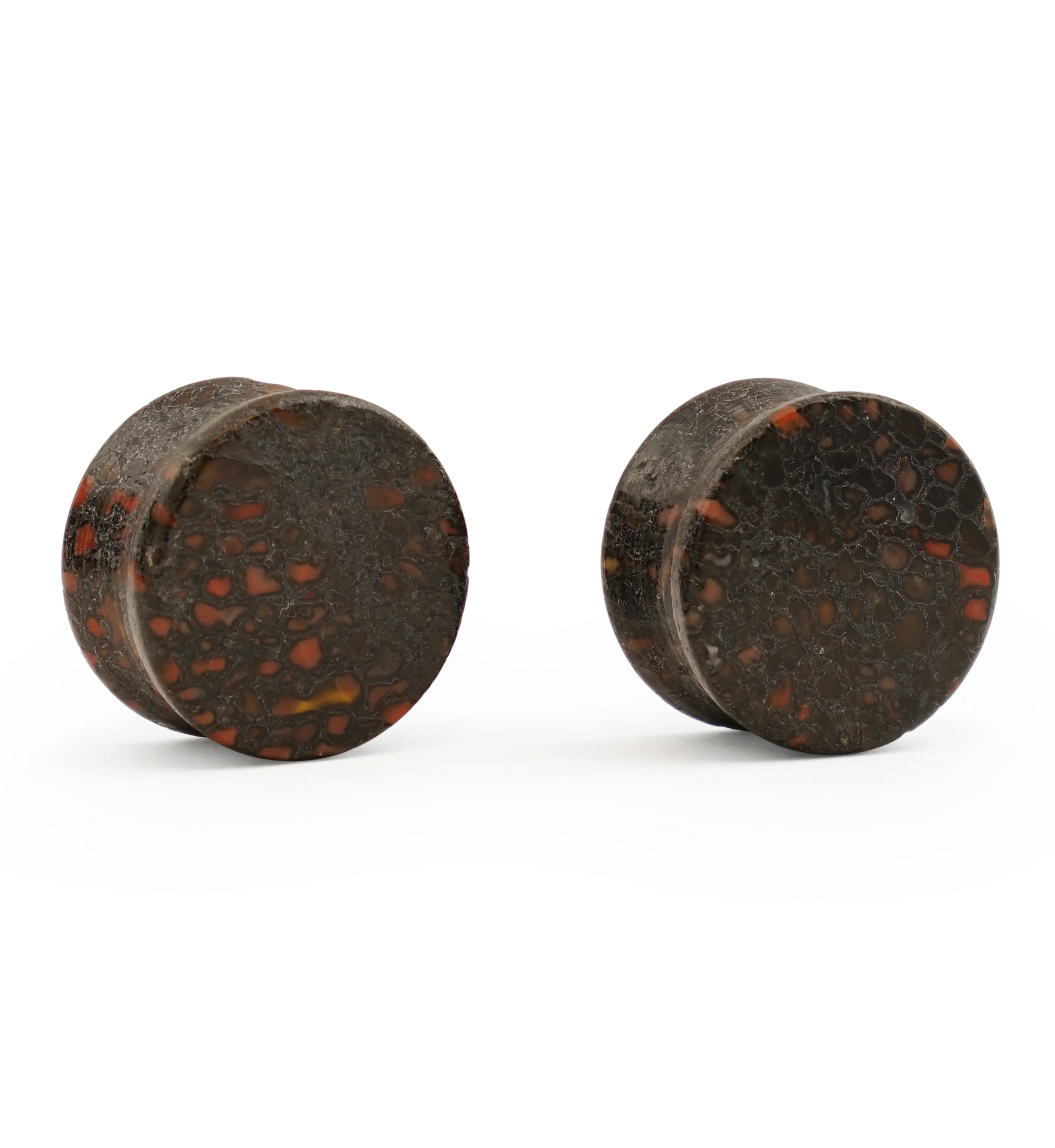 Fossilized Dinosaur Bone Plugs 3/4" (19mm) Version 5 - Image 2