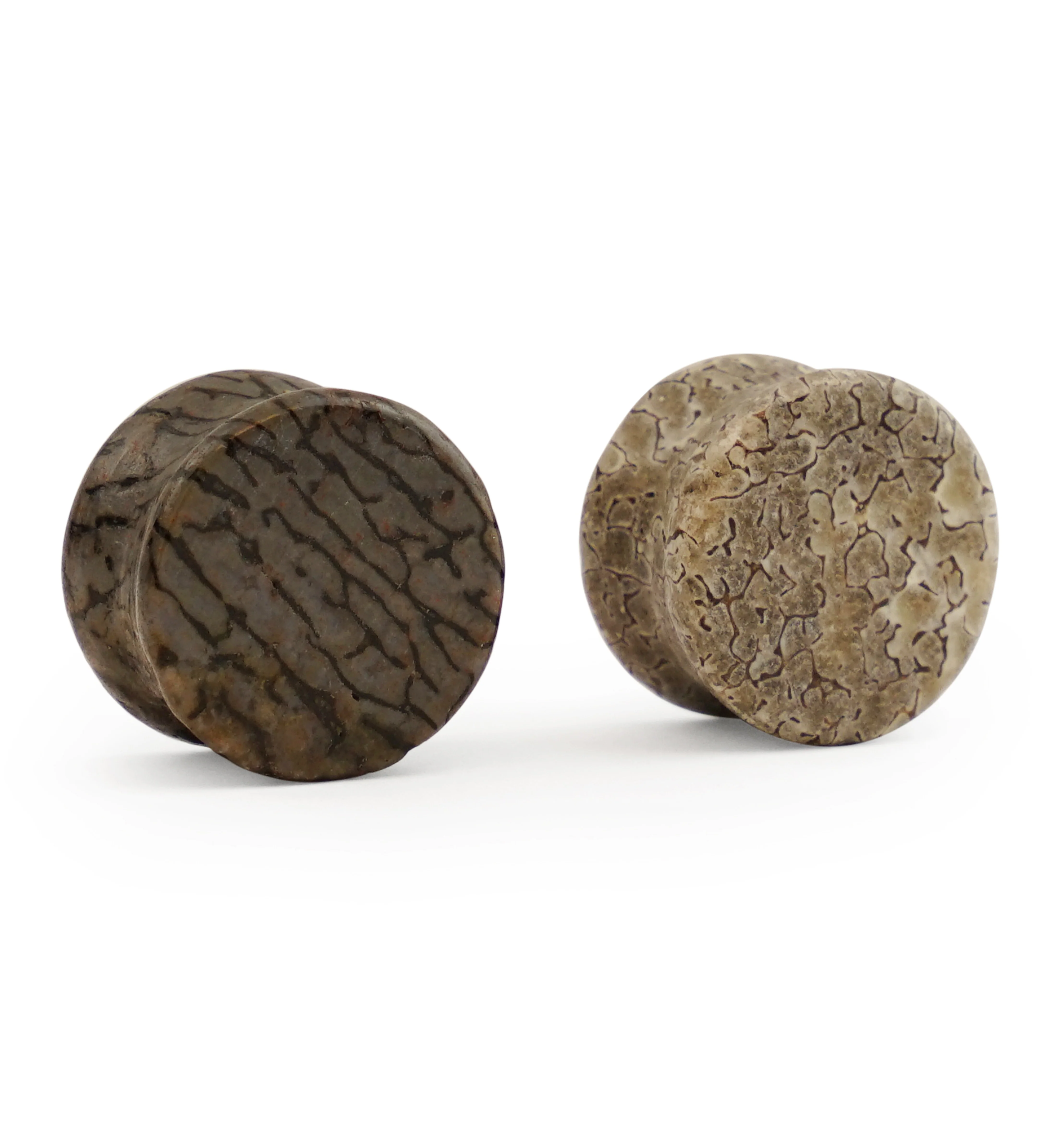 Fossilized Dinosaur Bone Plugs 5/8" (16mm) Version 3 - Image 2