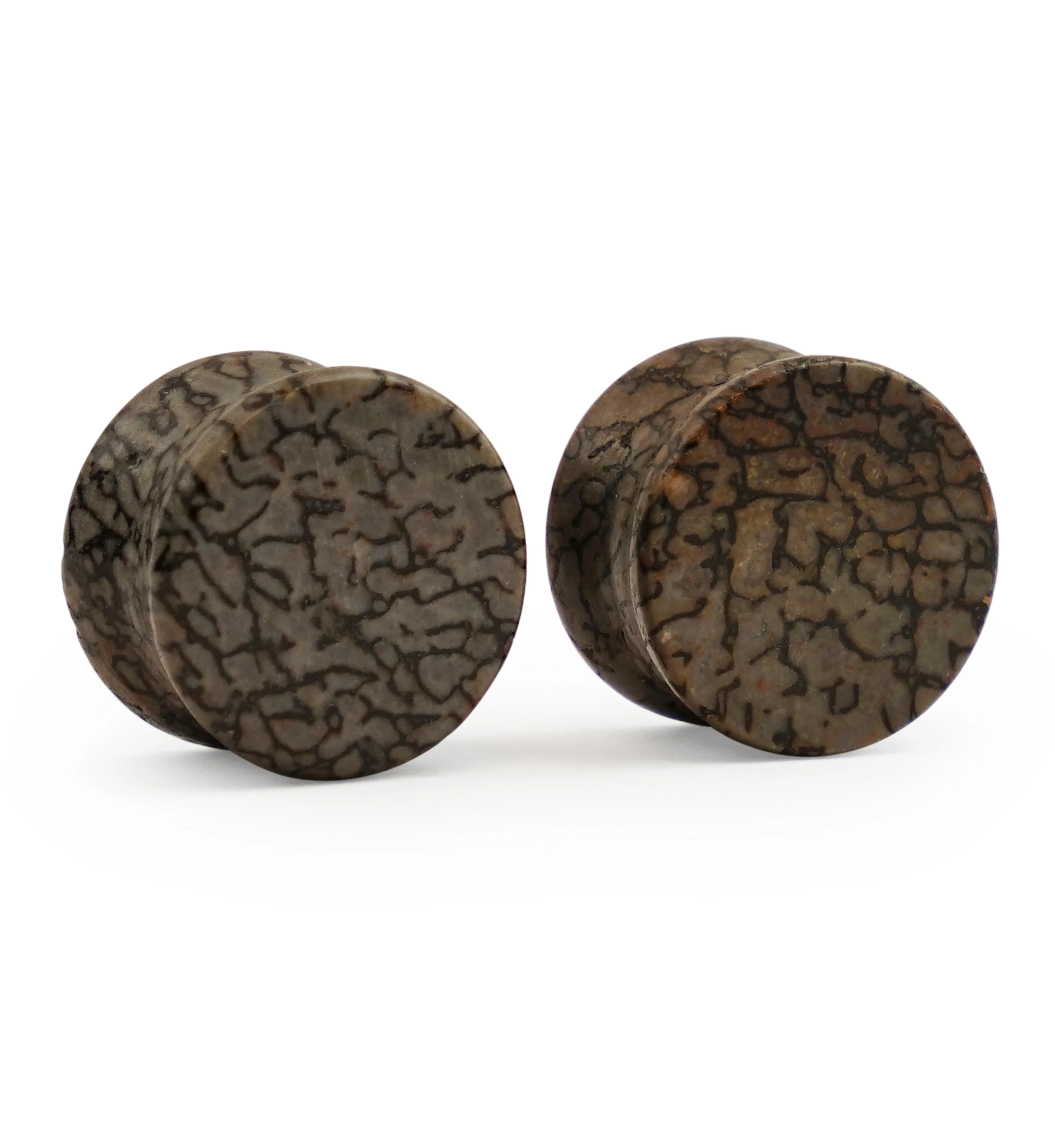 Fossilized Dinosaur Bone Plugs 5/8" (16mm) Version 4 - Image 2