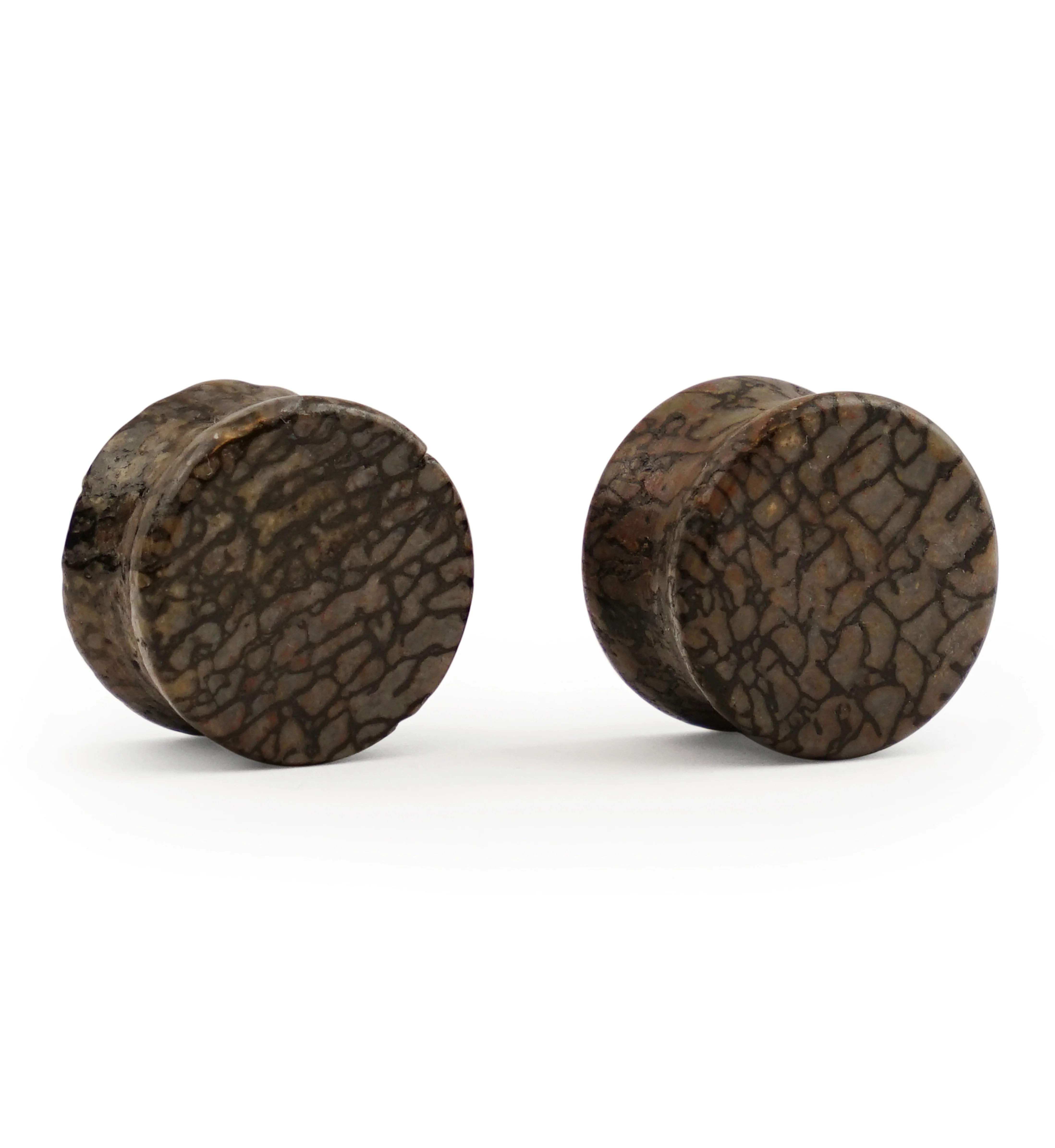 Fossilized Dinosaur Bone Plugs 5/8" (16mm) Version 5 - Image 2