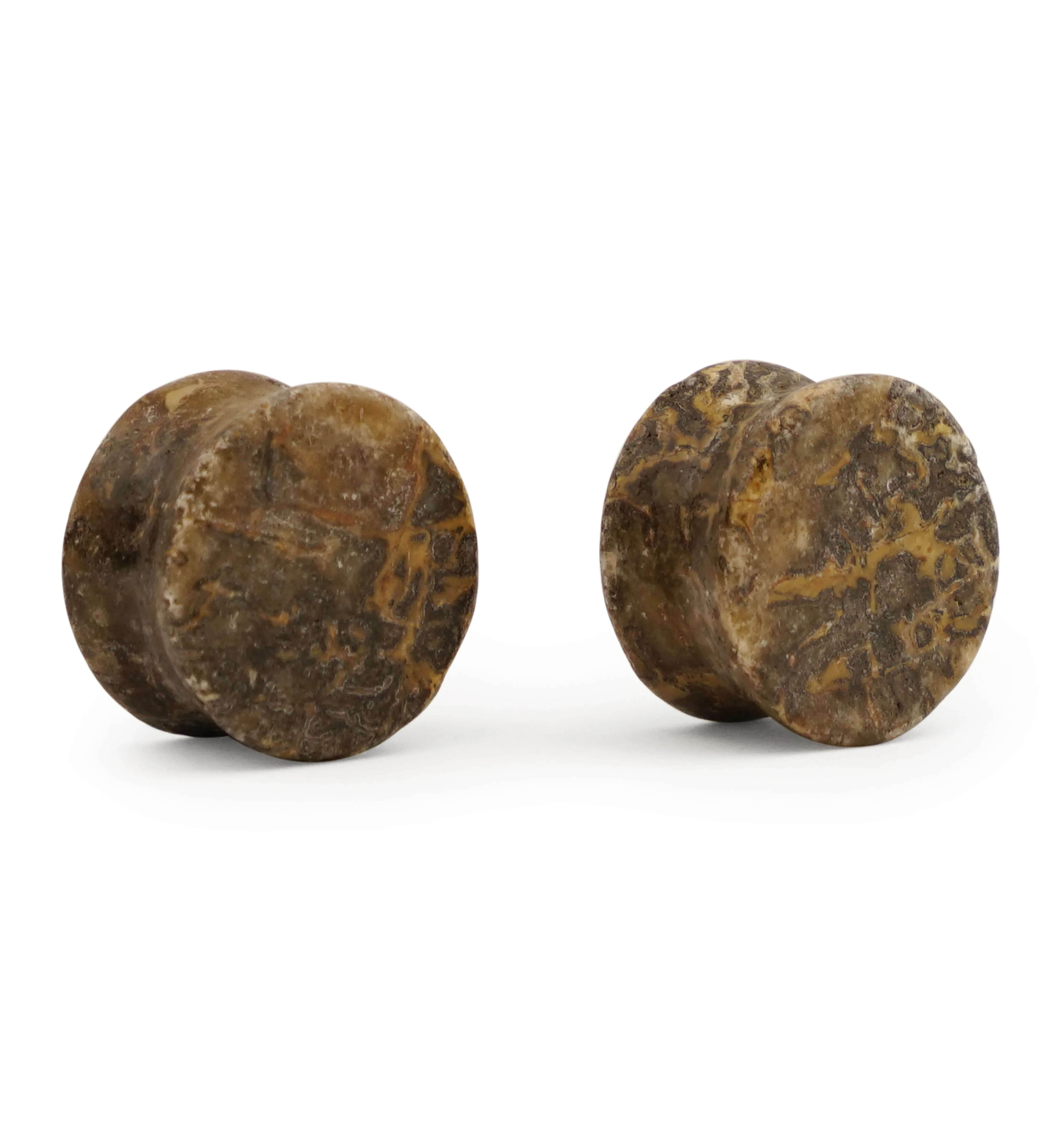 Fossilized Dinosaur Bone Plugs 5/8" (16mm) Version A1 - Image 2