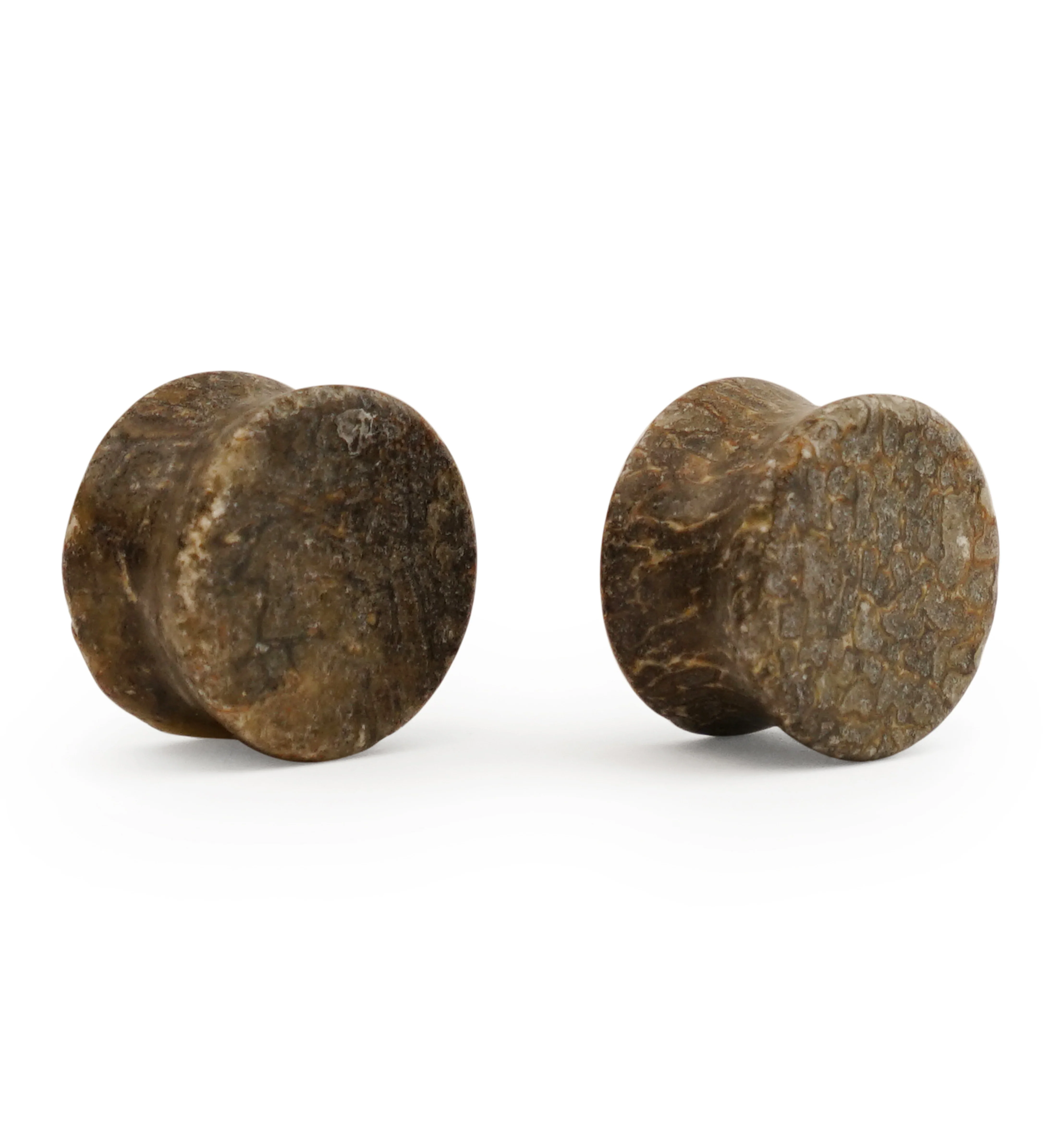 Fossilized Dinosaur Bone Plugs 5/8" (16mm) Version B1 - Image 2