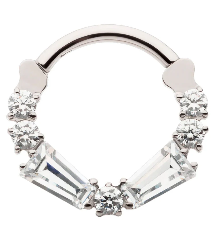Frost CZ Titanium Hinged Segment Ring