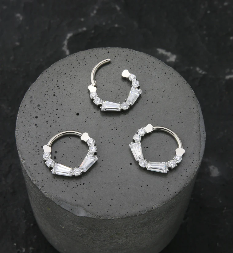 Frost CZ Titanium Hinged Segment Ring - Image 2