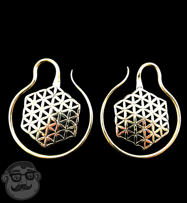 Geometric Brass Ear Weights - Image 4