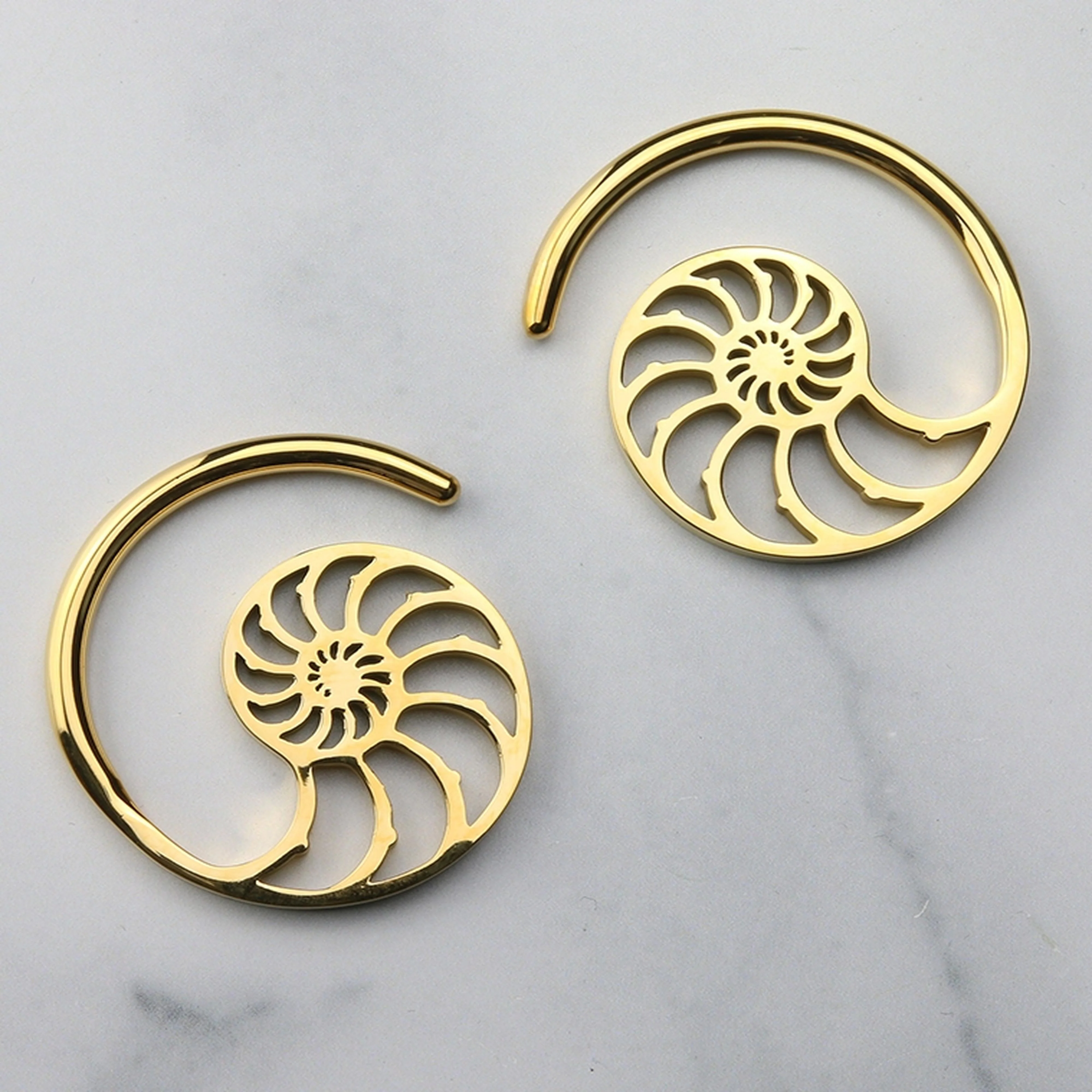 Gold PVD Ammonite Ear Weights - Image 3