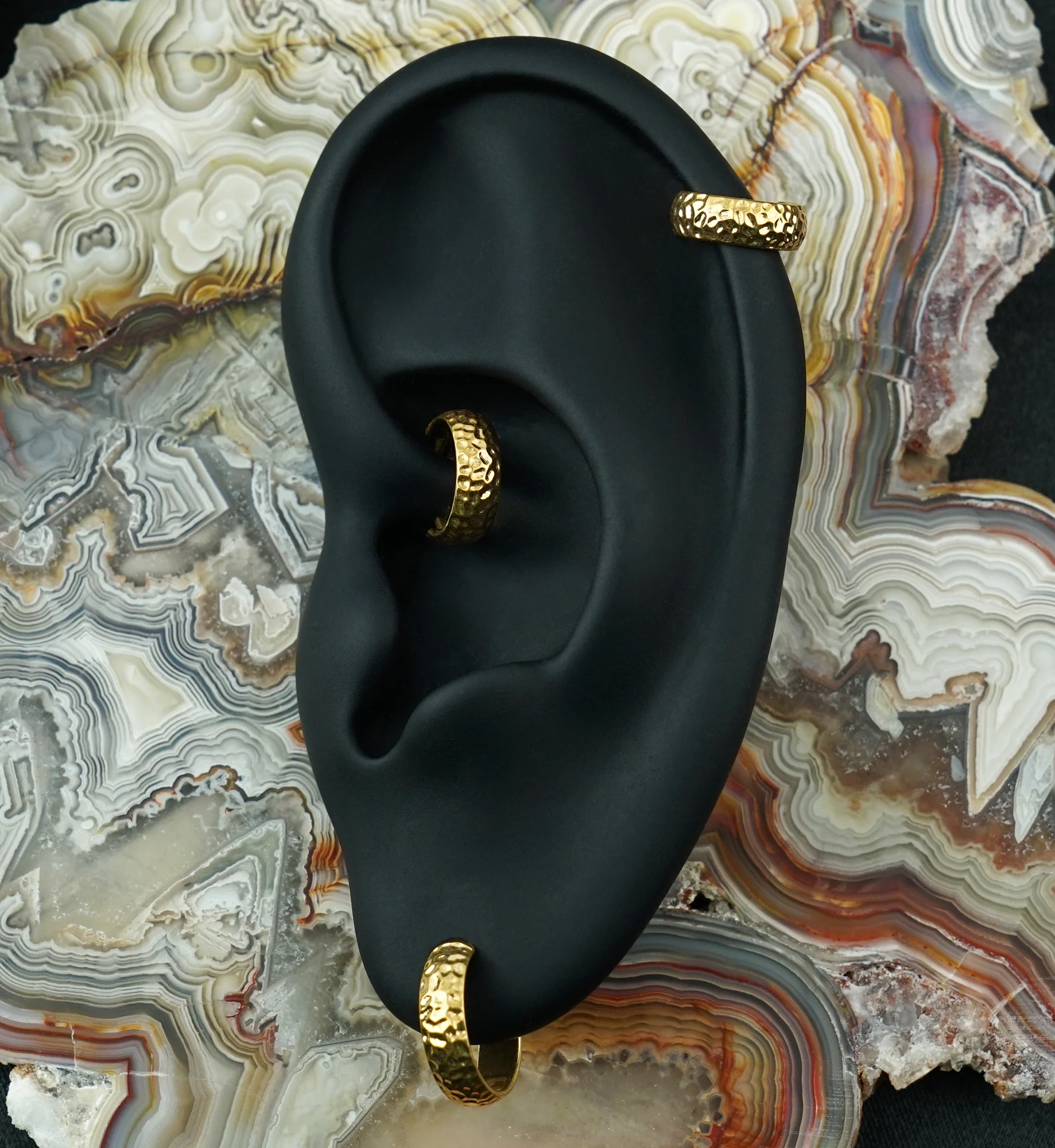 Gold PVD Anthozoan Titanium Hinged Segment Ring - Image 3