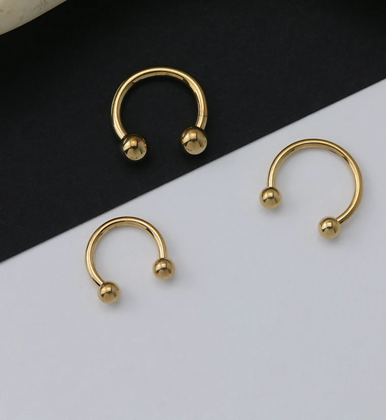 Gold PVD Basic Titanium Circular Barbell - Image 2