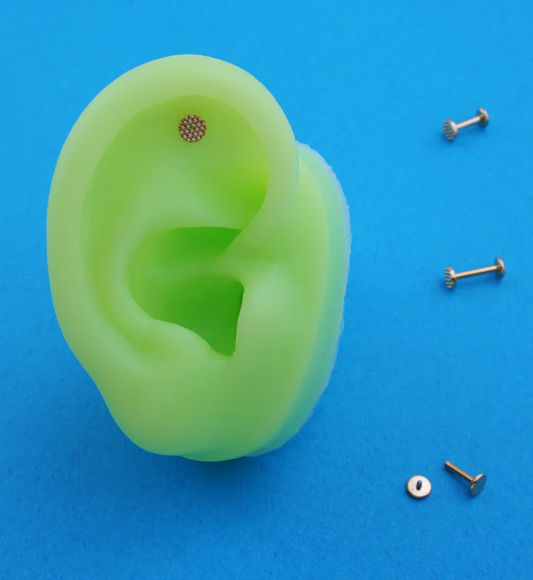 Gold PVD Beaded Disk Internally Threaded Titanium Labret - Image 2