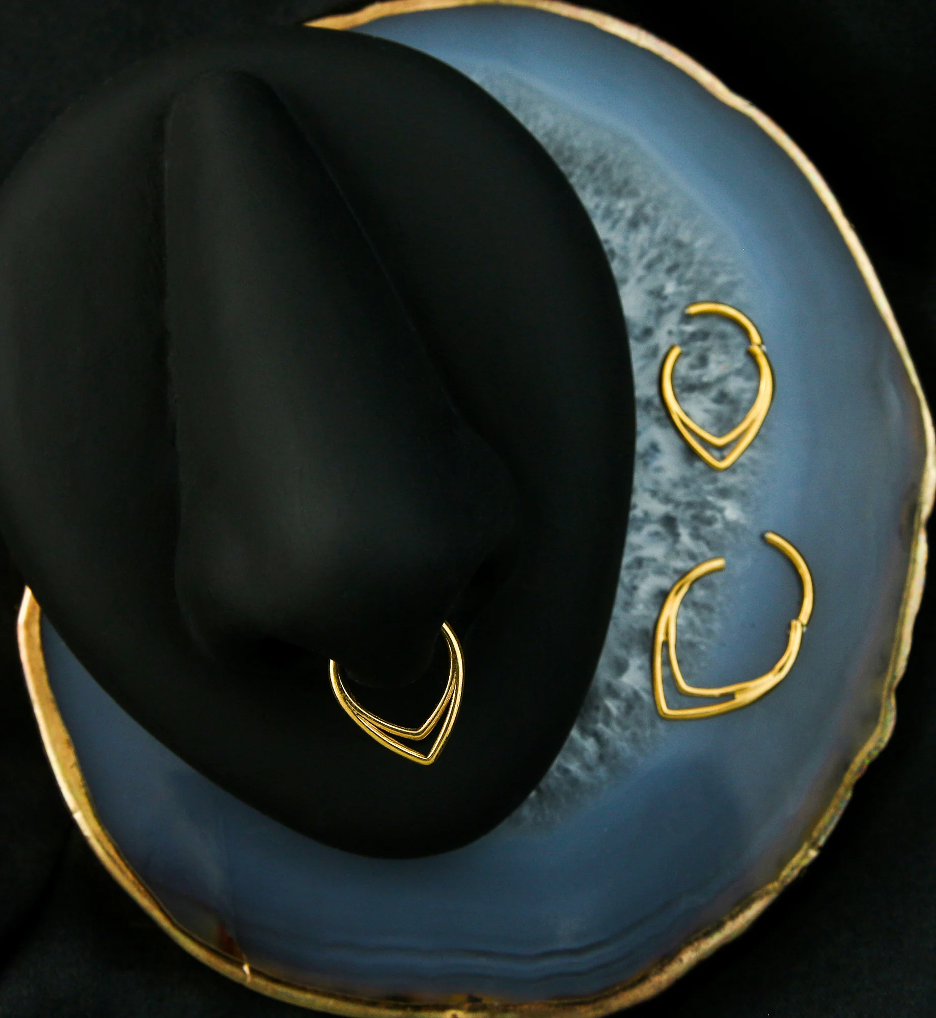 Gold PVD Double Lined Teardrop Titanium Hinged Segment Ring - Image 2