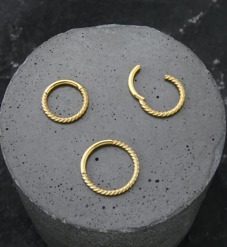 Gold PVD Entwine Stainless Steel Hinged Segment Ring - Image 2