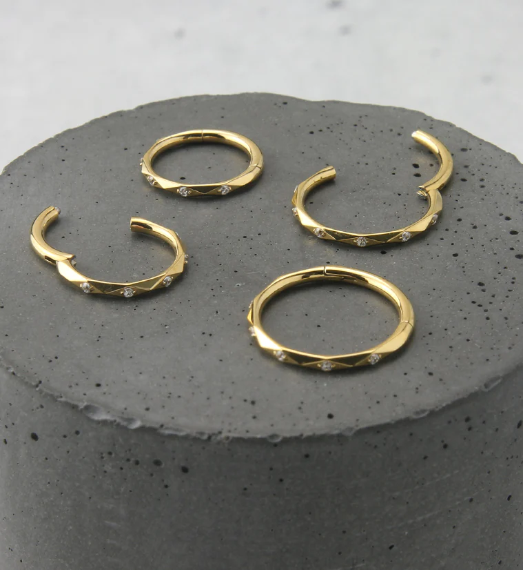 Facet CZ Gold PVD Titanium Hinged Segment Ring - Image 2