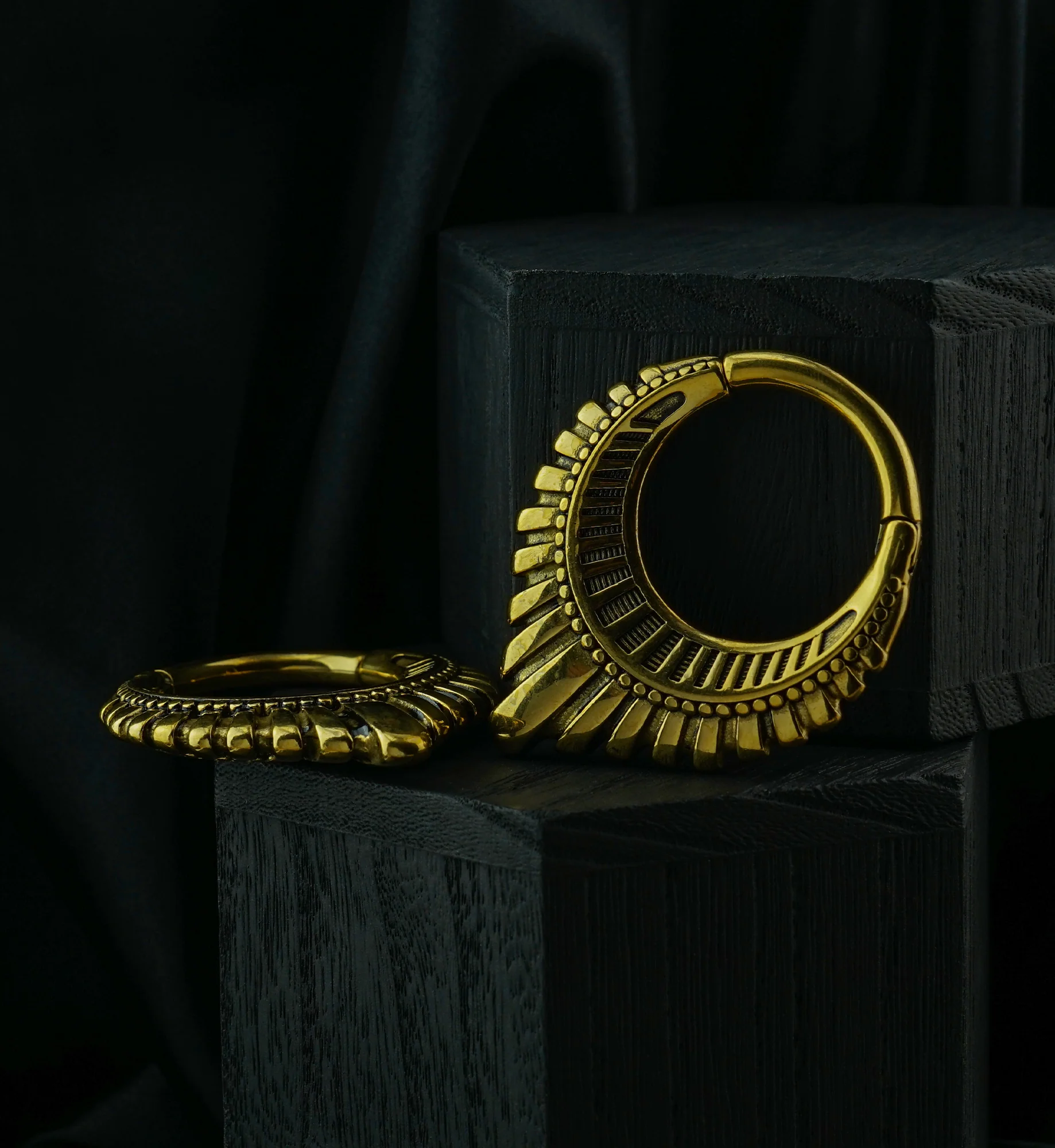 Gold PVD Heraldry Stainless Steel Hinged Ear Weights - Image 3