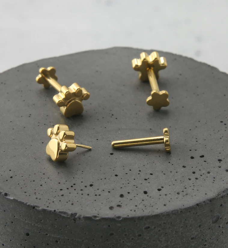 Gold PVD Paw Print Titanium Threadless Labret - Image 2