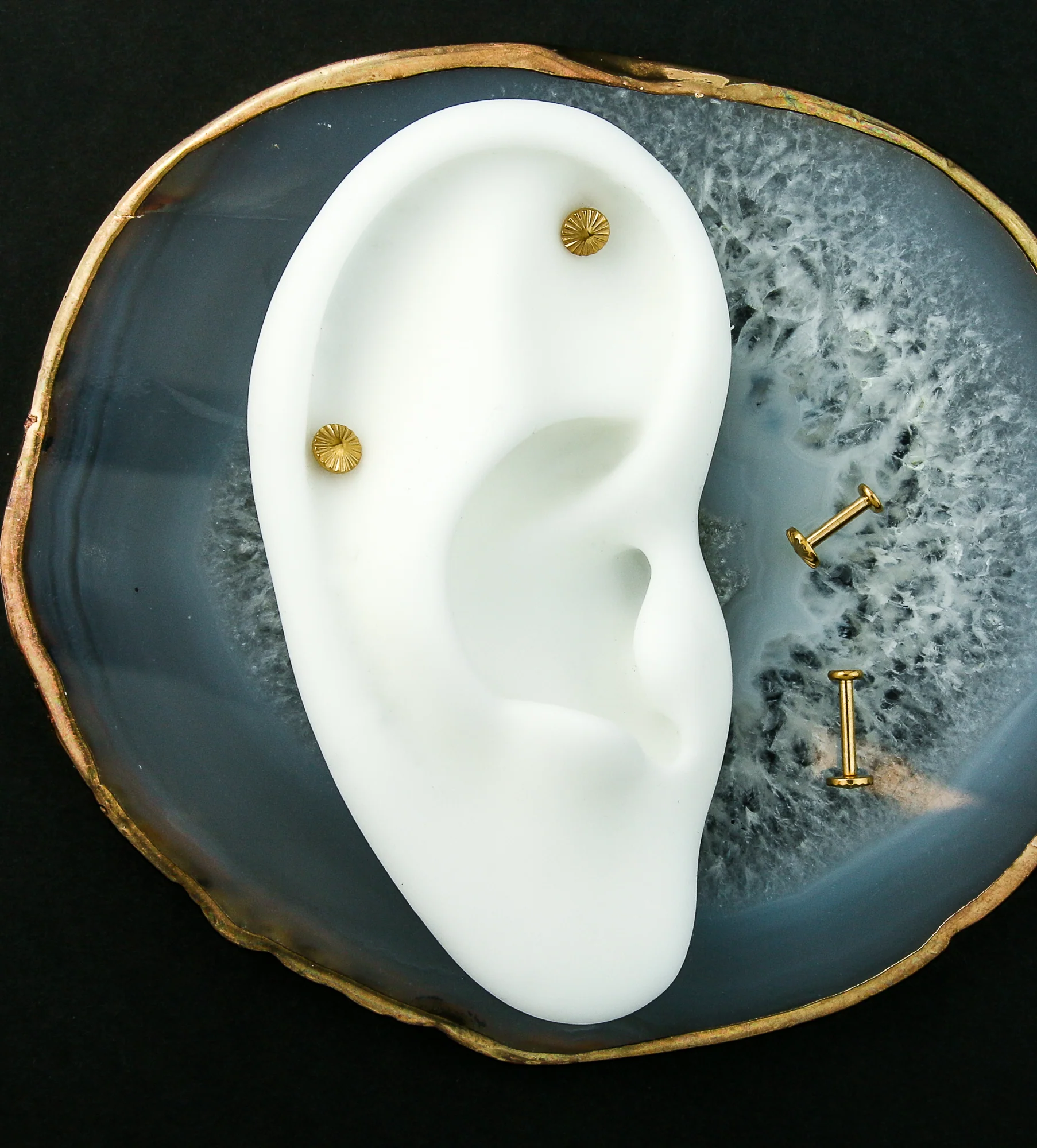 Gold PVD Score Internally Threaded Titanium Labret - Image 2