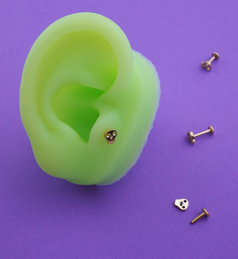 Gold PVD Skull Face Internally Threaded Titanium Labret - Image 2