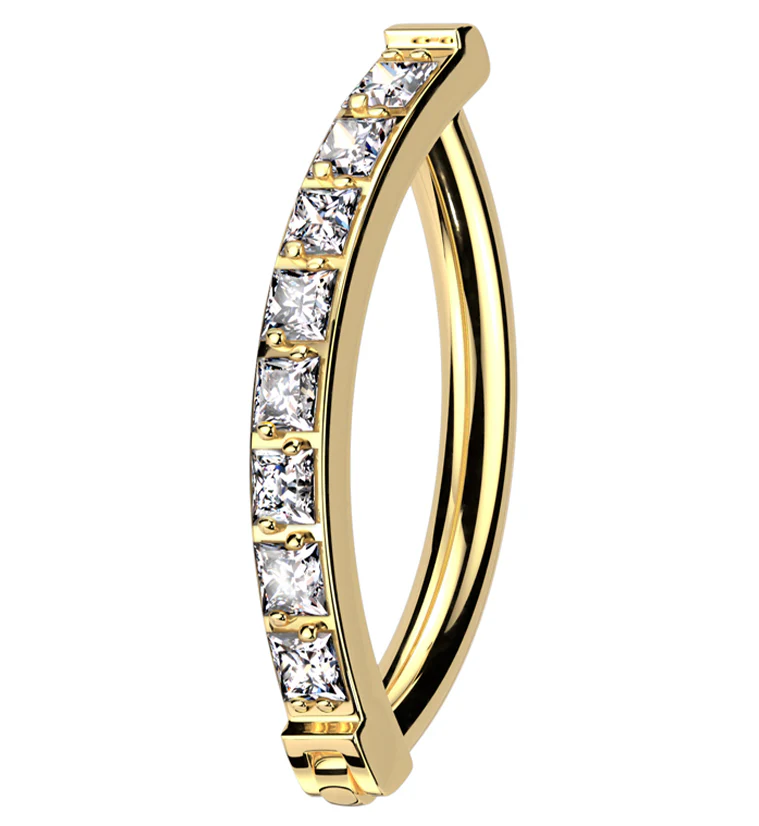 Gold PVD Vertical Clear CZ Titanium Hinged Segment Ring - Image 3