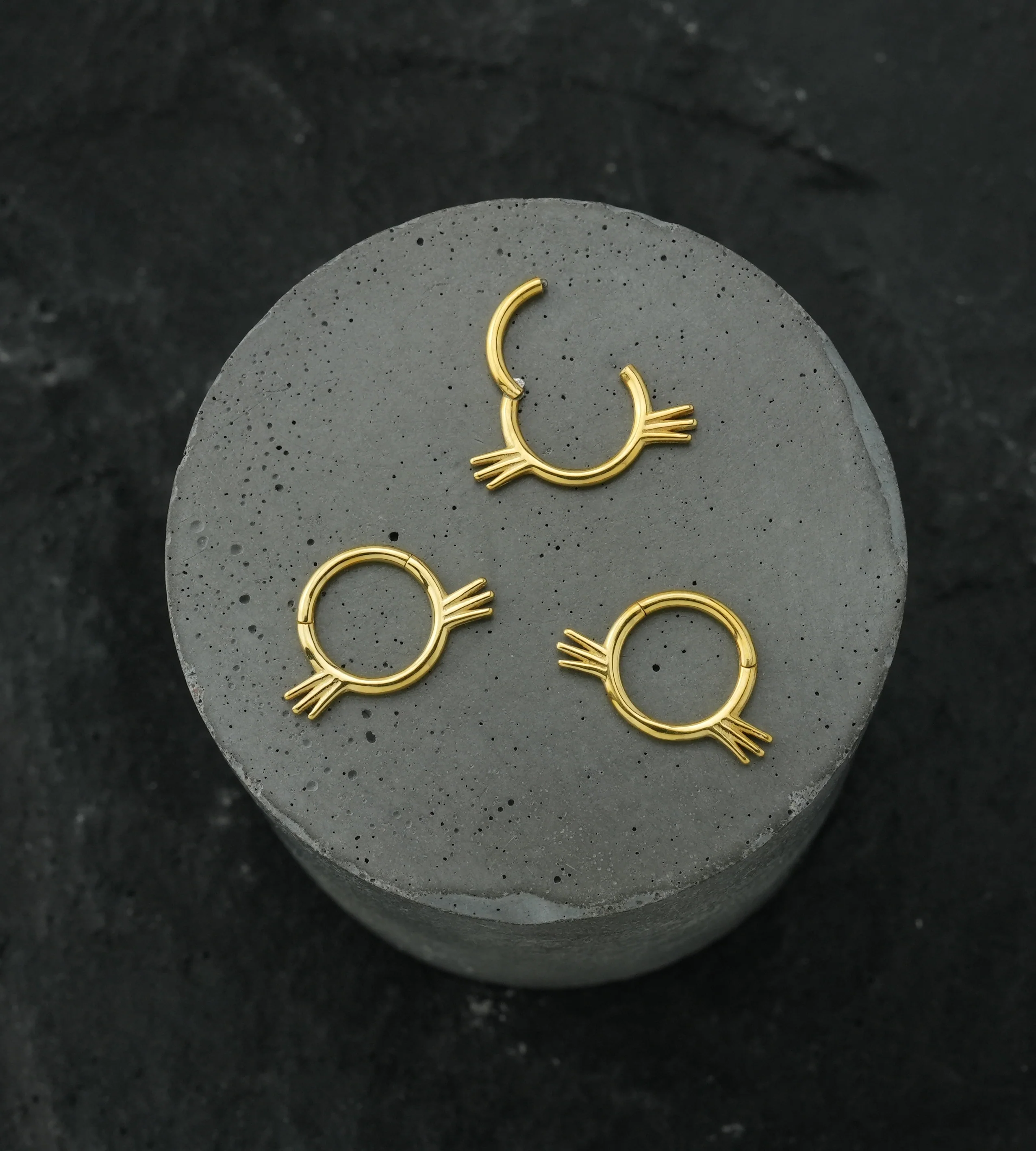 Gold PVD Whiskers Stainless Steel Hinged Segment Ring - Image 2