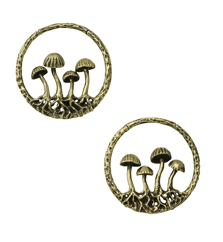 Golden Shroom Brass Ear Weights - Image 3