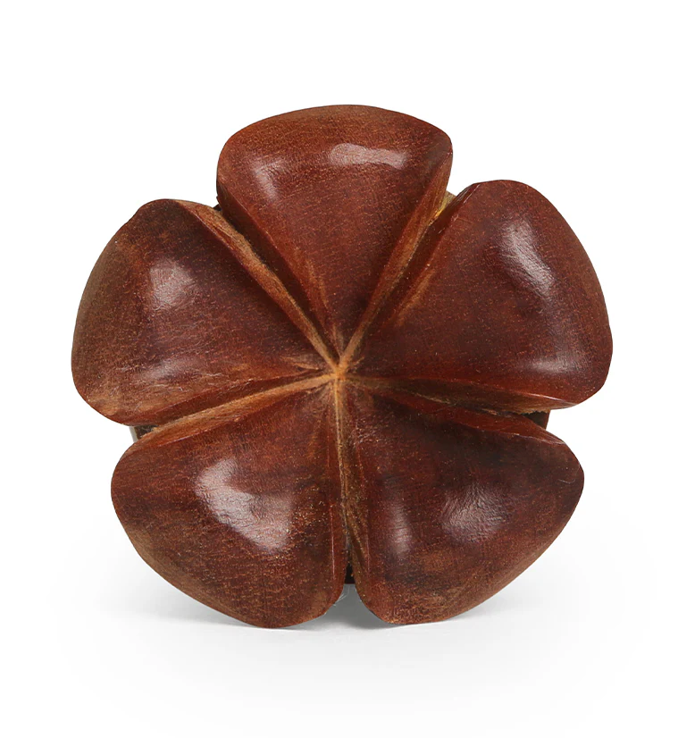 Hawaiian Flower Wood Plugs - Image 3