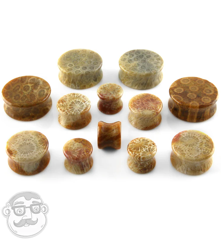 Indonesian Fossilized Coral Plugs - Image 4
