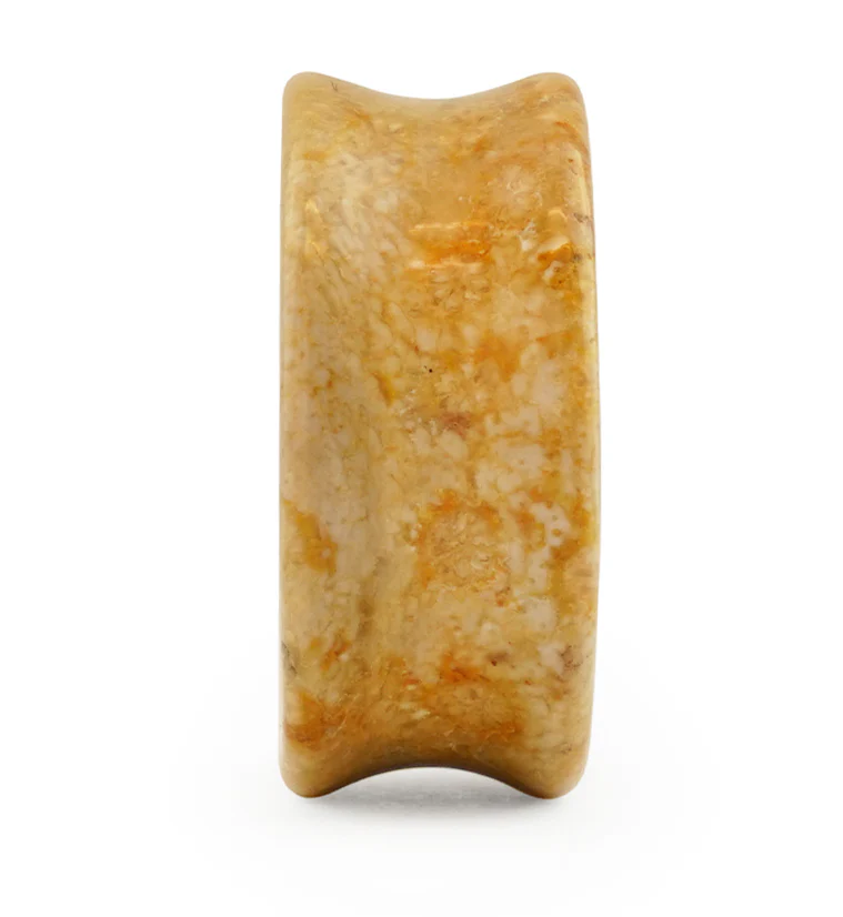 Indonesian Fossilized Coral Plugs - Image 6