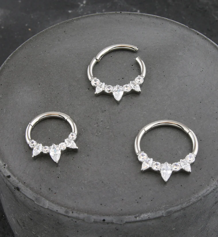 Medley Clear CZ Titanium Hinged Segment Ring - Image 2