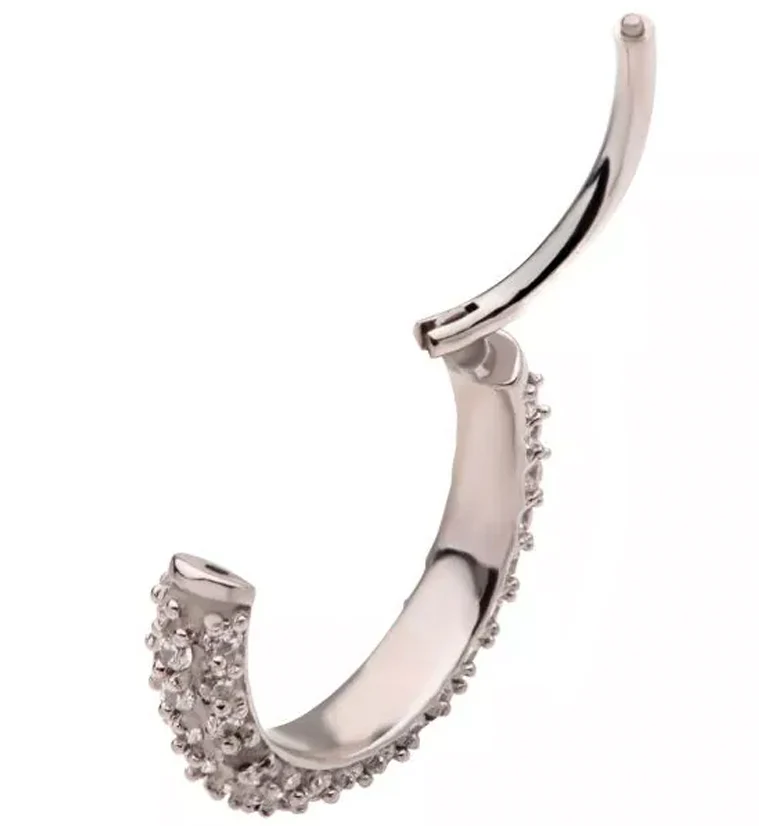 Multiple CZ Hinged Segment Ring - Image 3