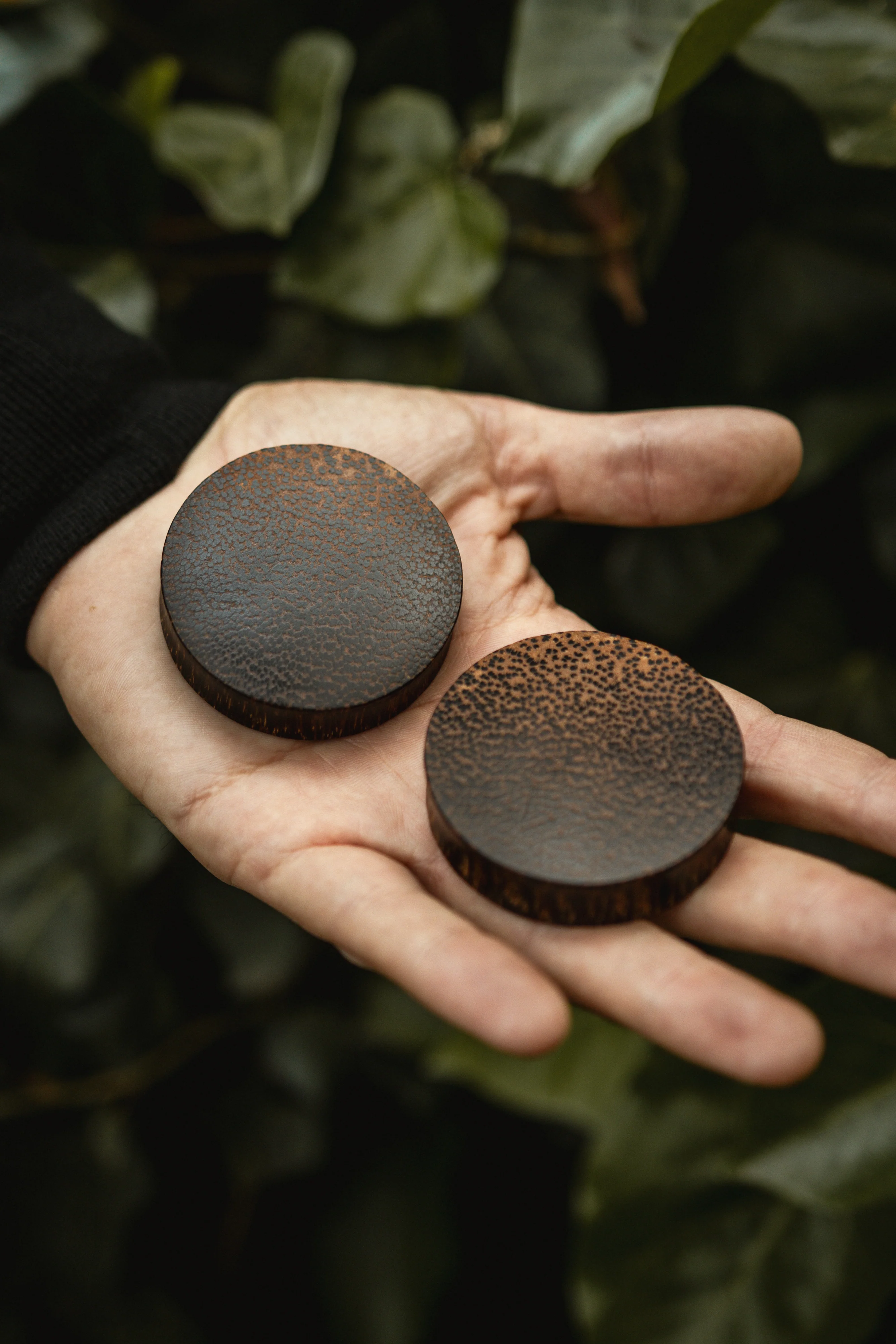 Palm Wood Plugs - Image 10