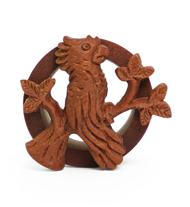 Parrot Carved Saba Wood Tunnels - Image 4