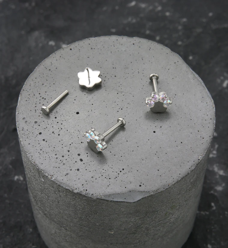 Paw Print Rainbow Aurora CZ Titanium Threadless Labret - Image 2