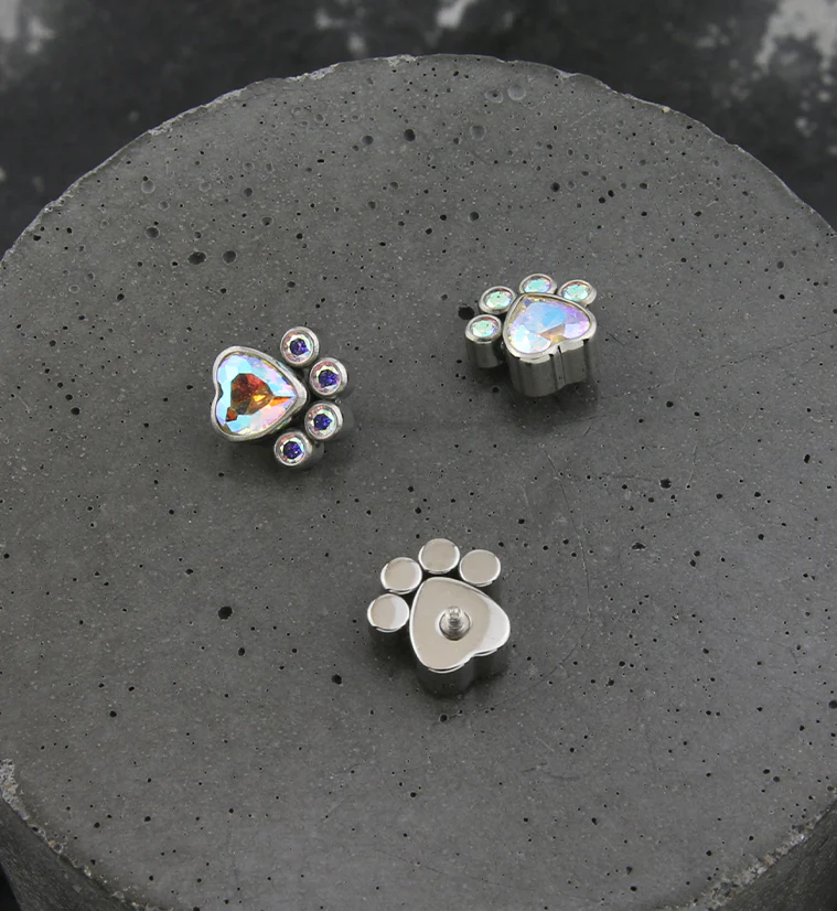Paw Rainbow Aurora CZ Titanium Internally Threaded Top - Image 2