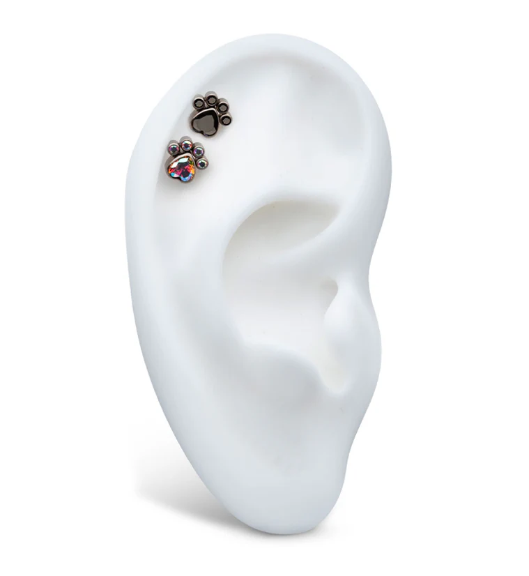 Paw Rainbow Aurora CZ Titanium Internally Threaded Top - Image 3