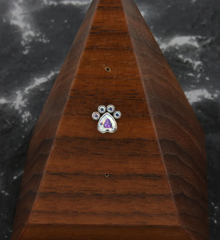 Paw Rainbow Aurora CZ Titanium Threadless Top - Image 2