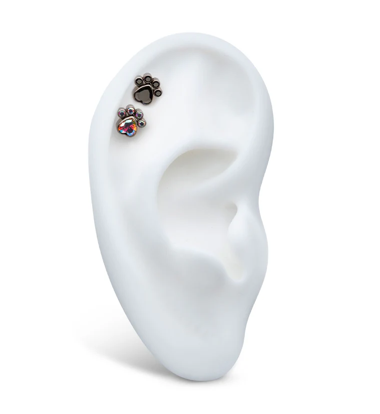 Paw Rainbow Aurora CZ Titanium Threadless Top - Image 3