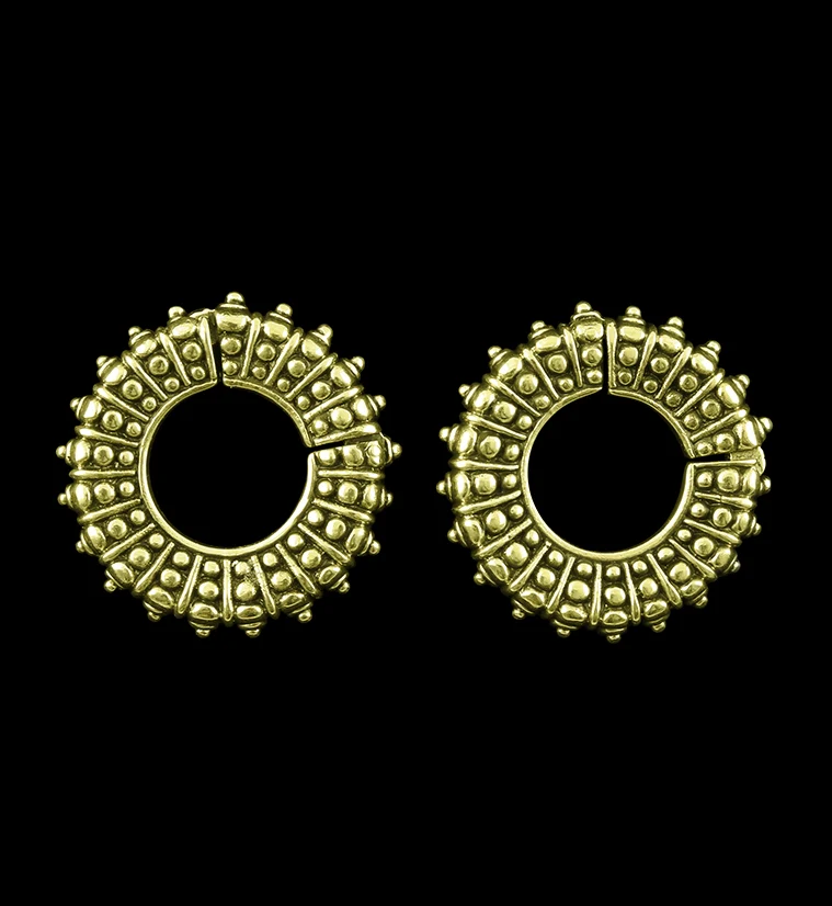 Pellet Ring Hinged Ear Weights