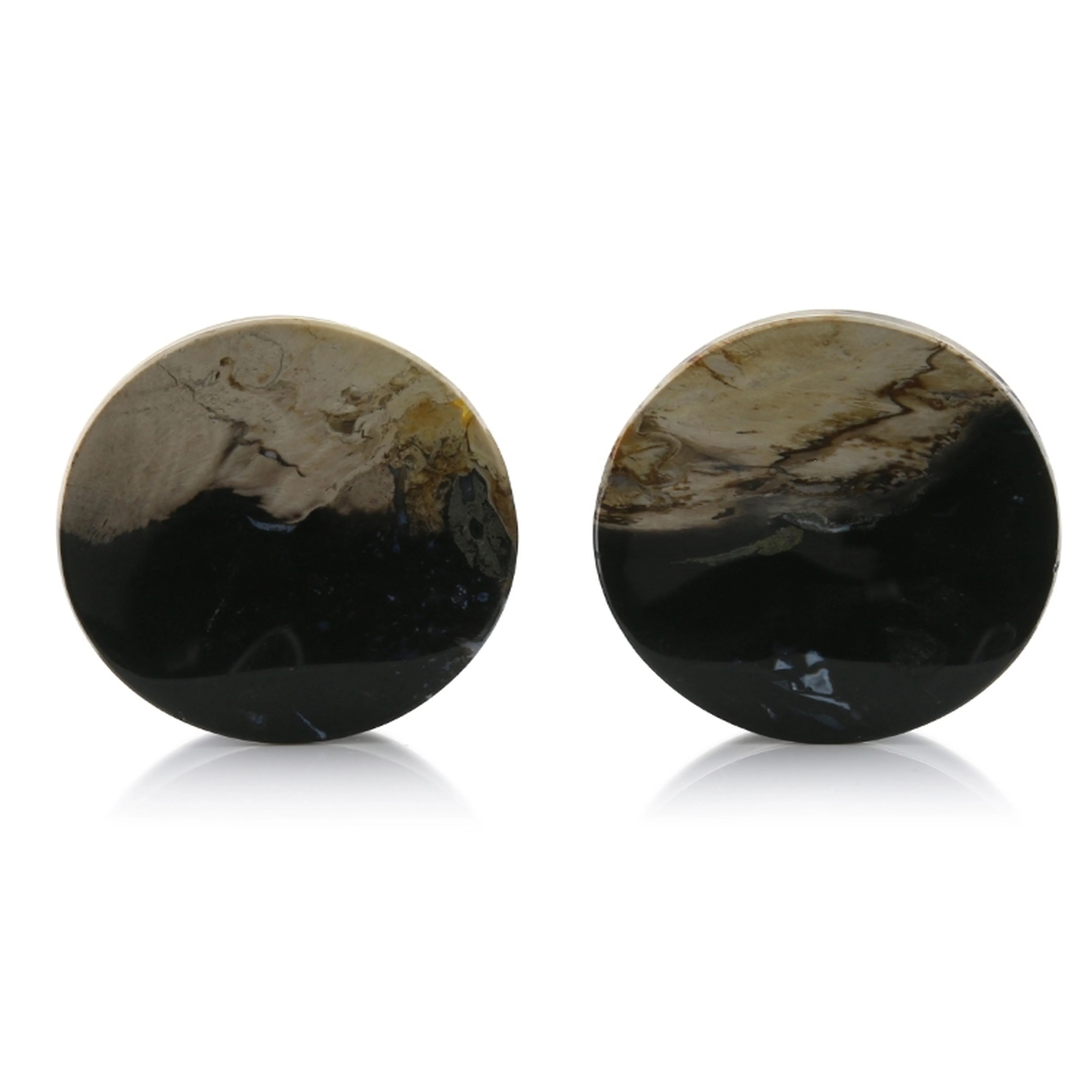 Petrified Palm Root Plugs 1 & 19-64" (33mm) Version 3