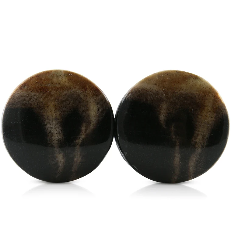 Petrified Wood Plugs 1 Inch (25mm) Version 5