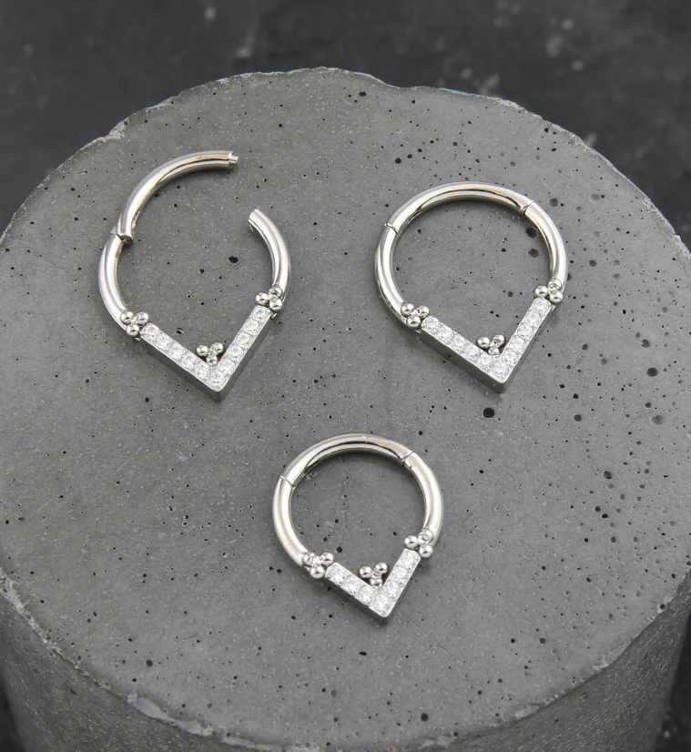 Point Beaded Clear CZ Titanium Hinged Segment Ring - Image 2