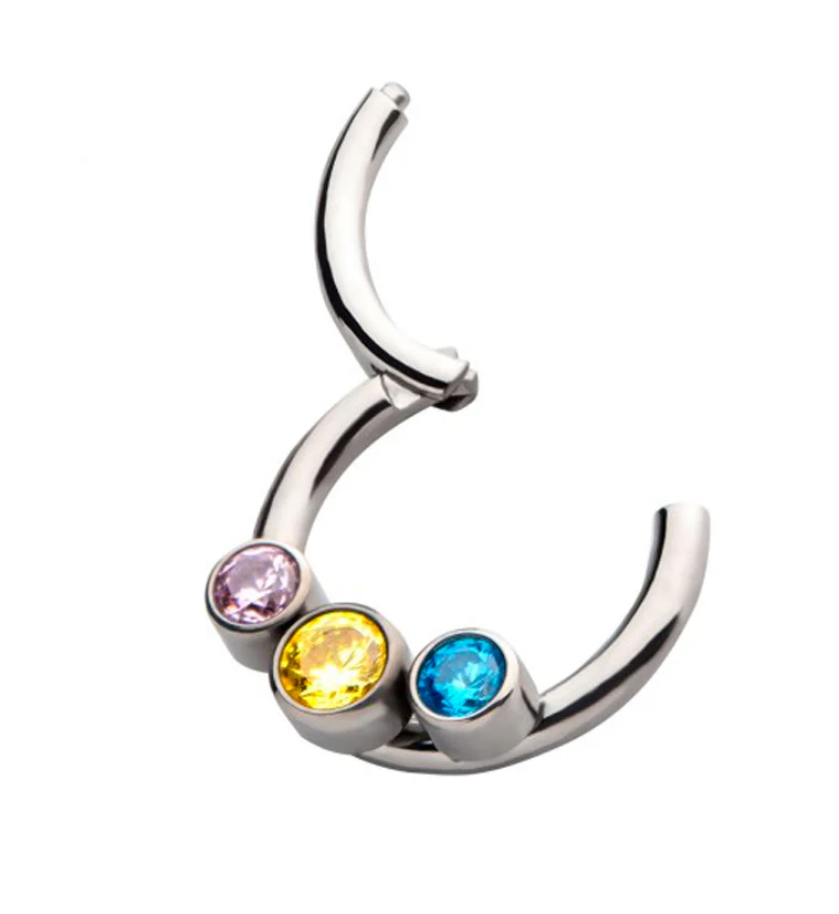Pride Titanium Hinged Segment Ring Version 2 - Image 2