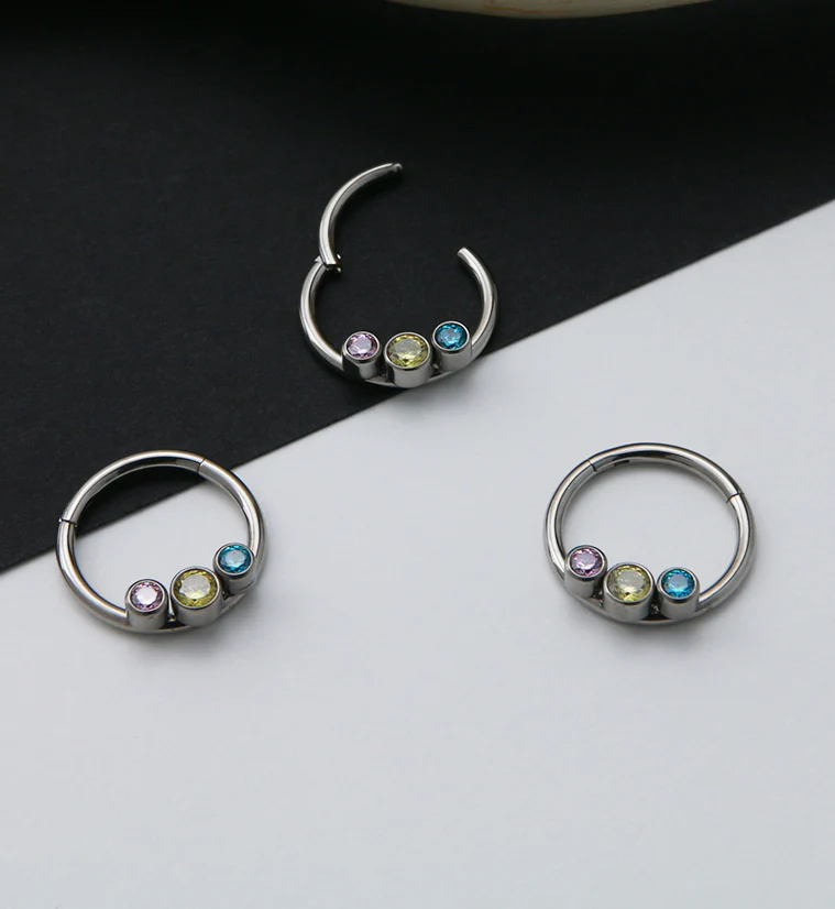 Pride Titanium Hinged Segment Ring Version 2 - Image 3