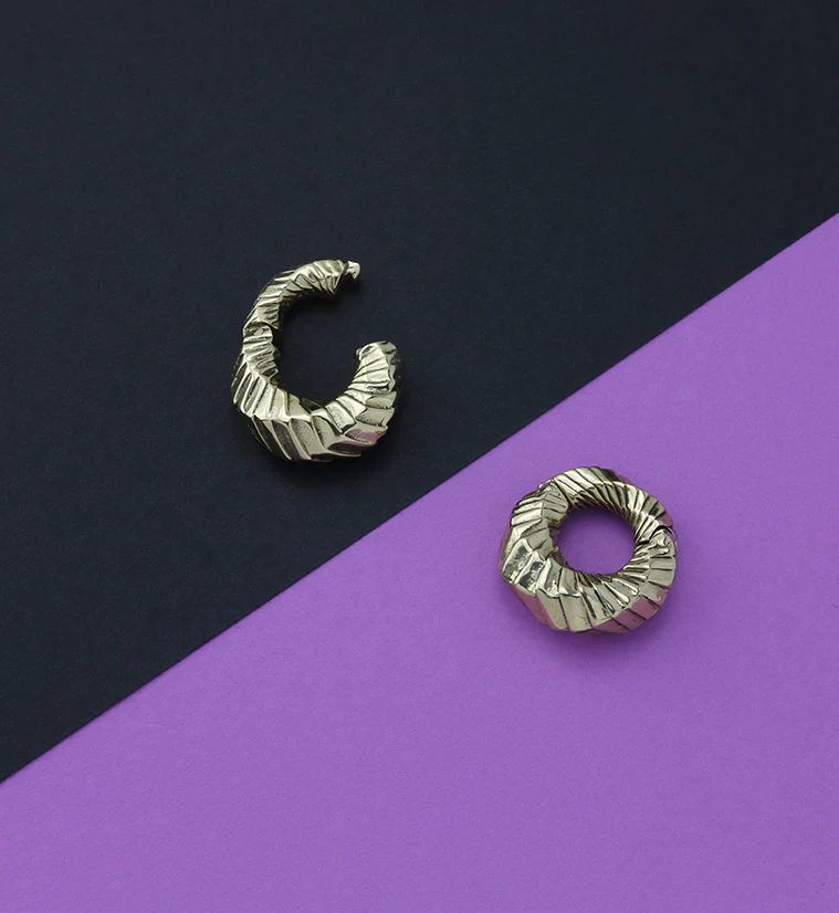 Proxy Brass Hinged Ear Weights - Image 2