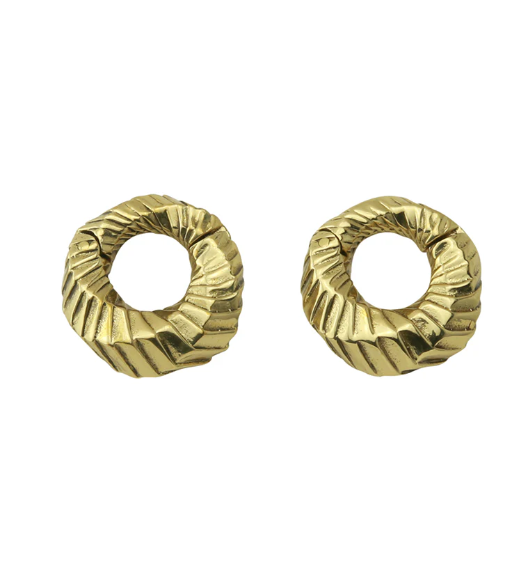 Proxy Brass Hinged Ear Weights - Image 3
