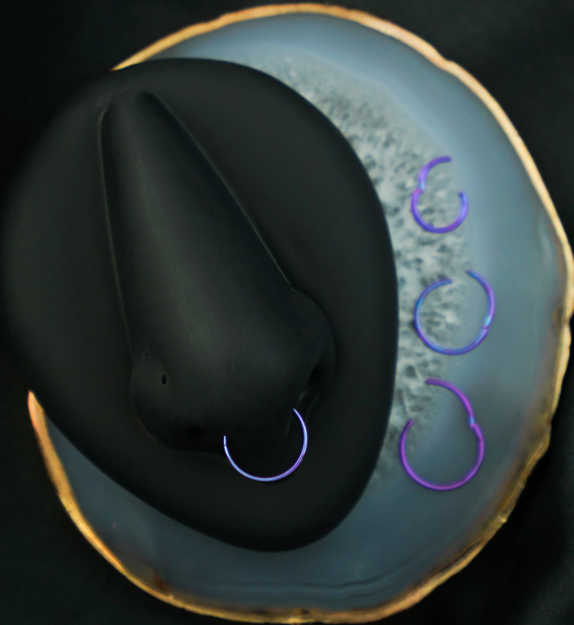 Purple Anodized Titanium Hinged Segment Hoop Ring - Image 2