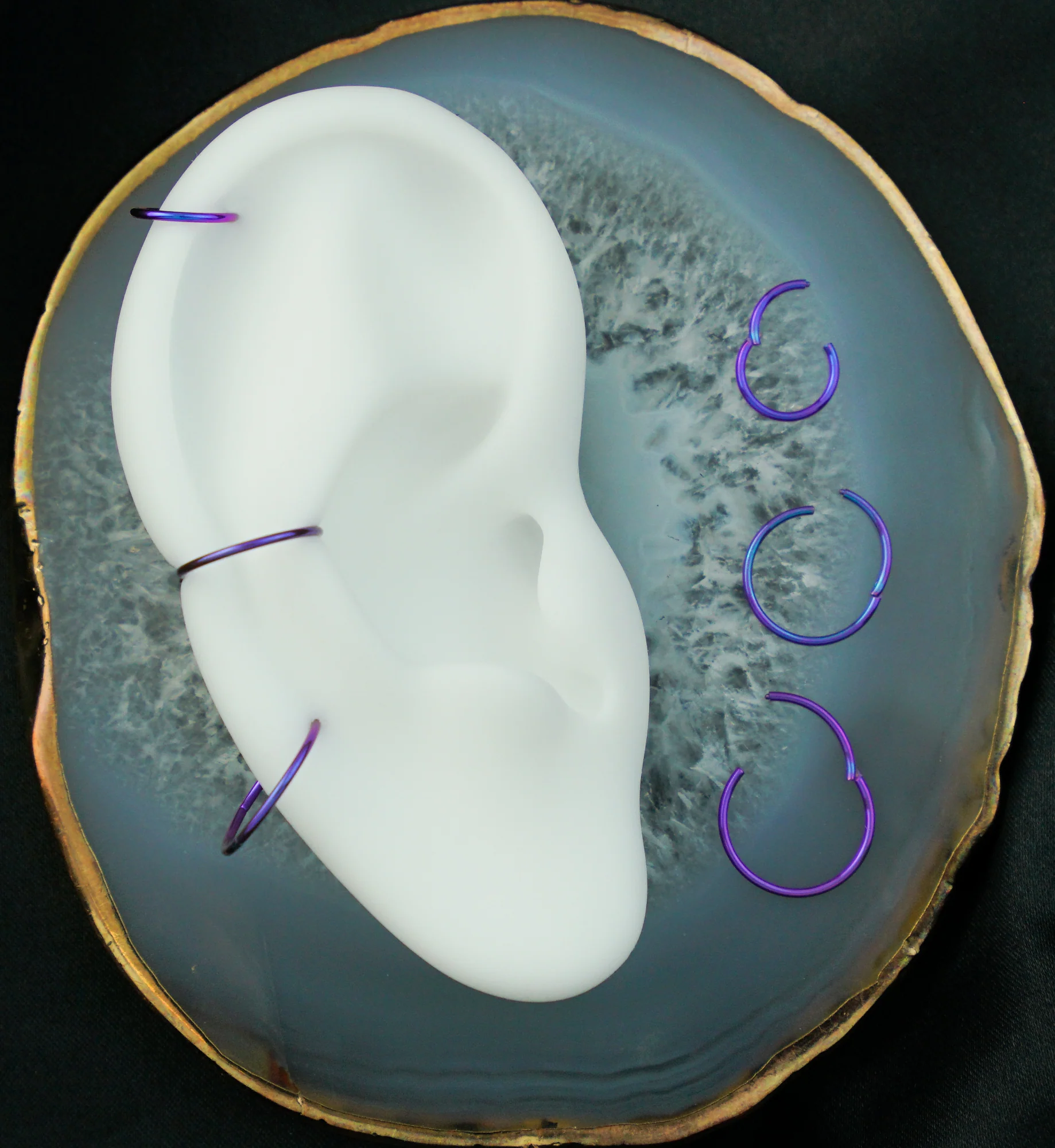 Purple Anodized Titanium Hinged Segment Hoop Ring - Image 3