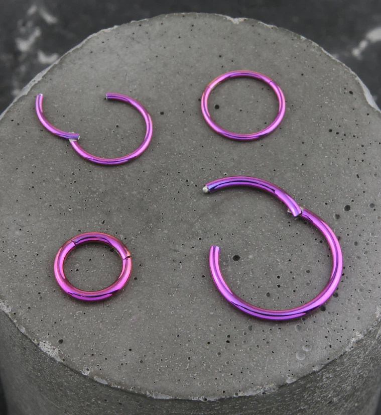 Purple PVD Hinged Stainless Steel Segment Hoop Ring - Image 2