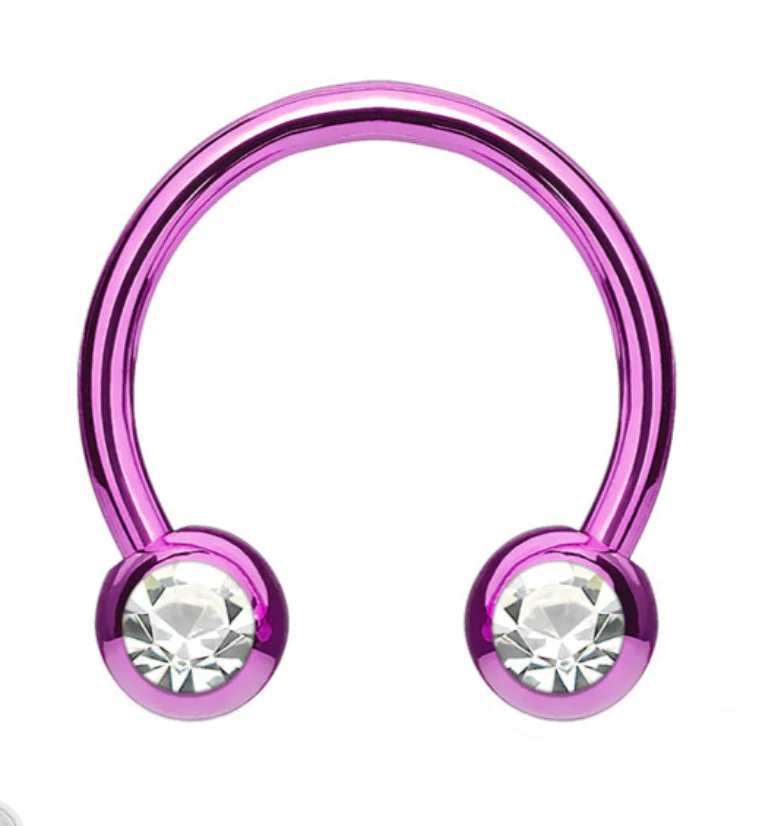 Purple PVD CZ Circular Barbell