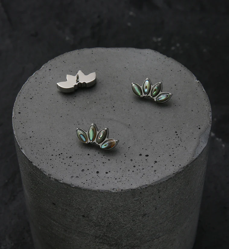 Quartet Abalone Shell Internally Threaded Titanium Top - Image 2